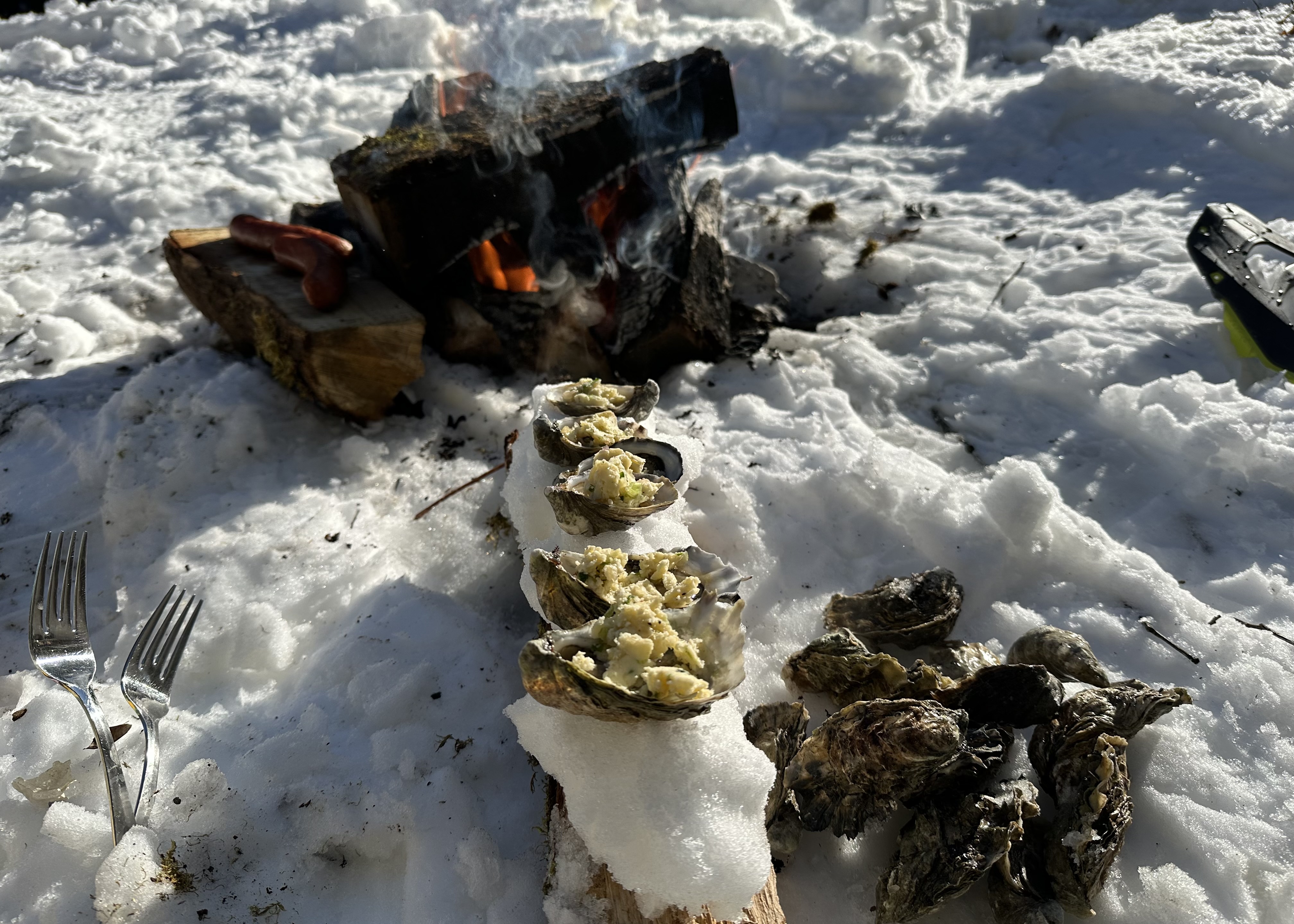 Day in the Snow with Dad